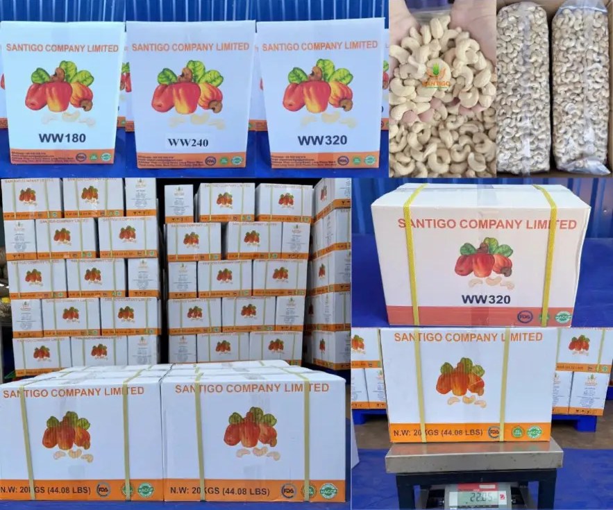 Santigo WW180, WW240 and WW320 cartons stacked for export