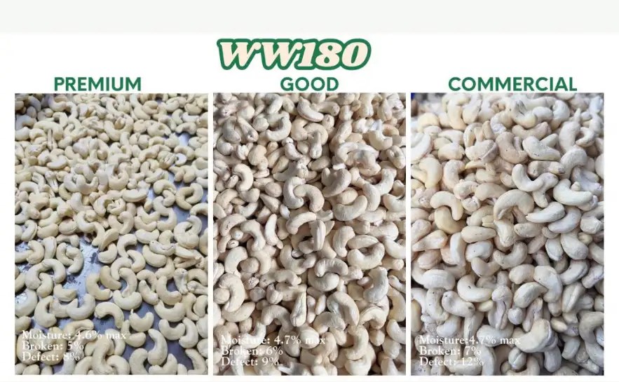 WW180 cashew kernels in premium, good and commercial quality levels
